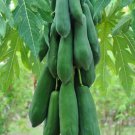 Thai Papaya Seed Som Tum