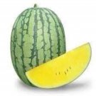 Sainaampheung Watermelon Seed Thai Yellow Watermelon Seed Var.Sainaampheung