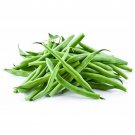 Sri-Tid Snap Bean Seed Bush Bean
