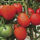 Large Red Tomato Thai Large Red Tomato Seed Var.Extra 390