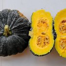 Thai Millionaire Pumpkin Seed Thai Pumpkin Seed