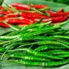 Duang Manee Hot Pepper Seed Thai Hot Cayenne Pepper Seed Var. Duang Manee
