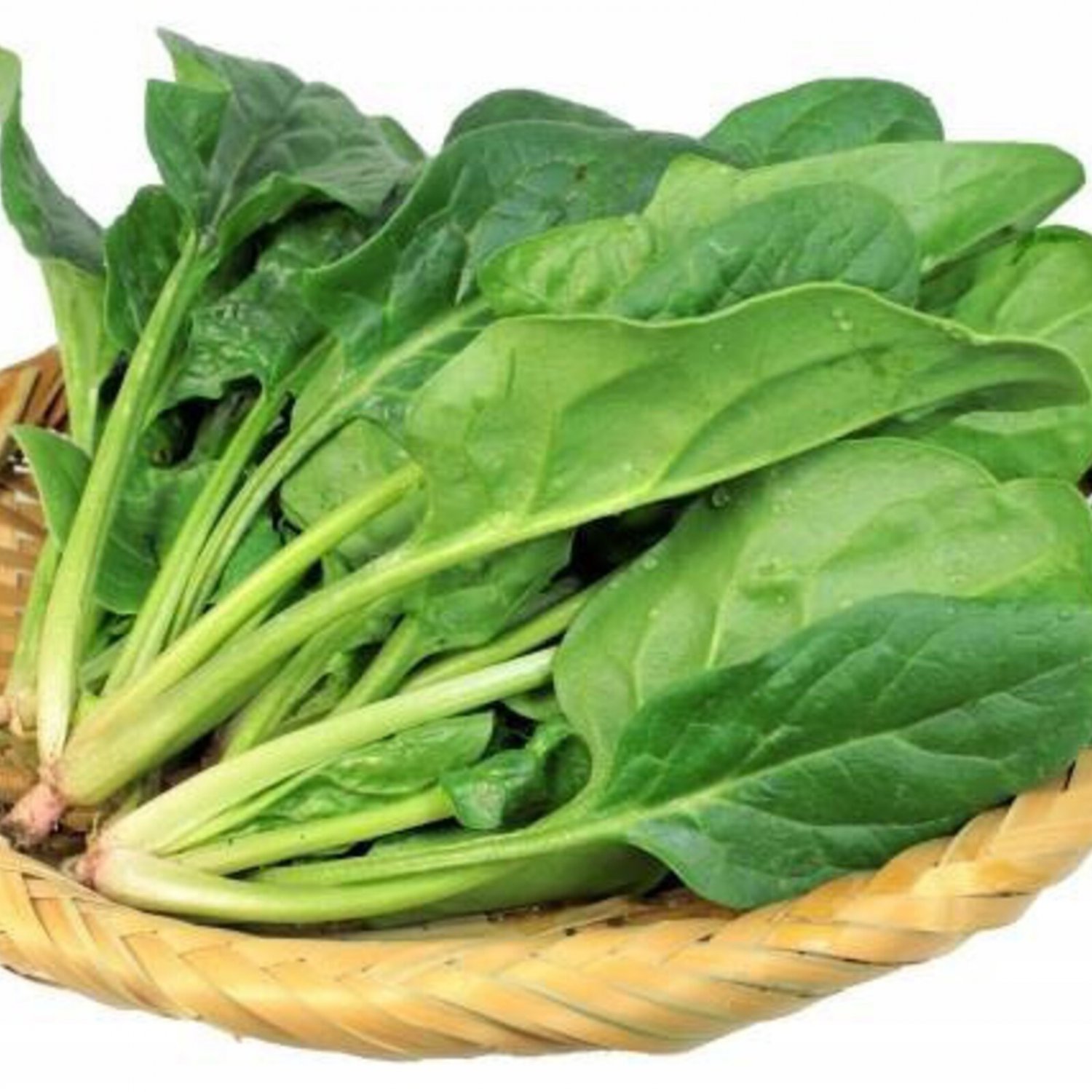 Viroflay Spinach Seed