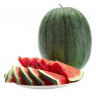 Thai Nory Watermelon Seed
