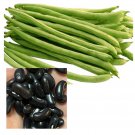 Snap Bean Seed Black Seed Bush Bean Seed Black Seed