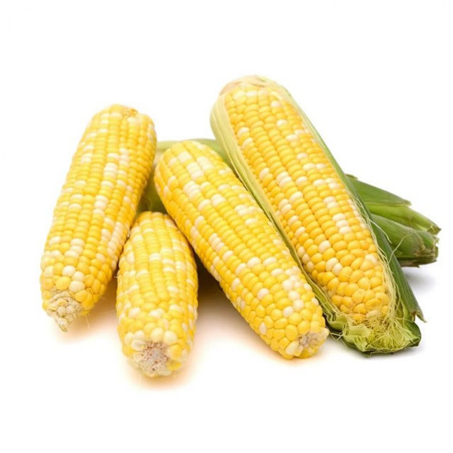 Golden 2 Tone Sweet Corn Seed