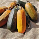New England Long Pie Pumpkin Seeds Vegetable Seeds Seed Packet