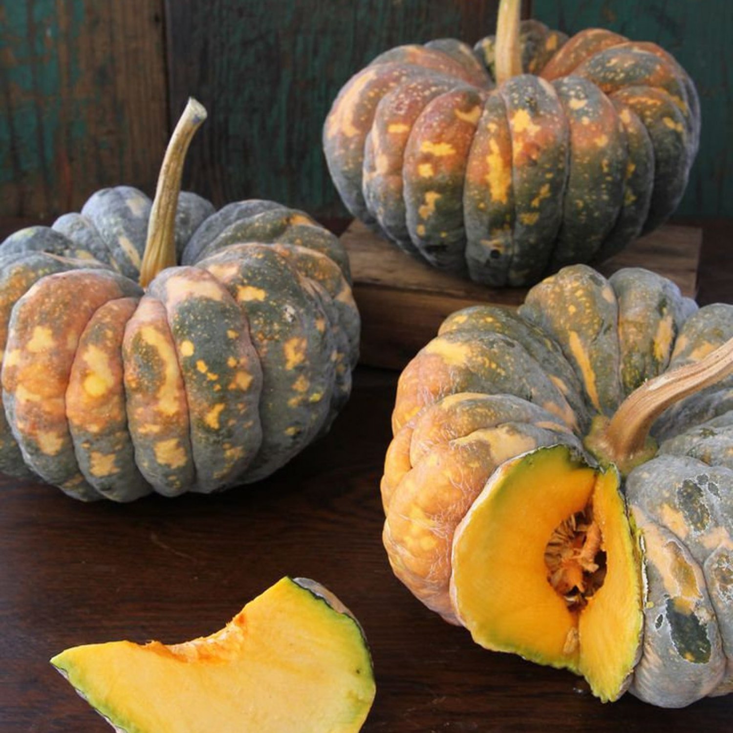 Chirimen Winter Squash Seeds Vegetable Seeds Rare Japanese Pumpkin