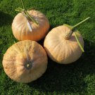 Lower Salmon River Winter Squash Seeds Vegetable Seeds Seed Packets