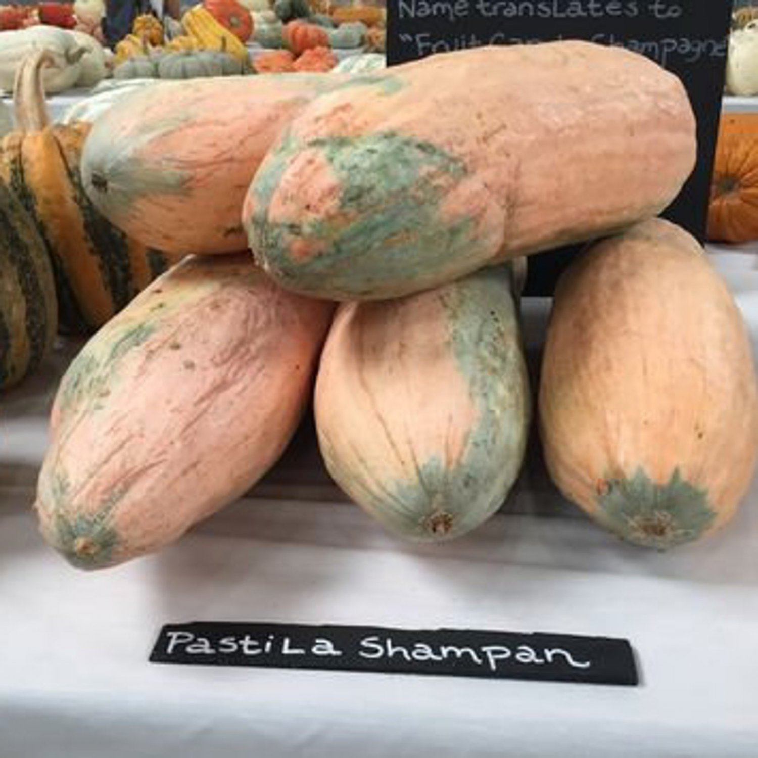 Pastila Shampan Winter Squash French Seeds Vegetable Seeds Seed Packets