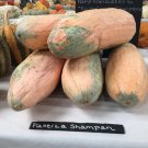 Pastila Shampan Winter Squash French Seeds Vegetable Seeds Seed Packets