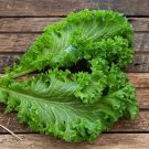 Green Wave Mustard