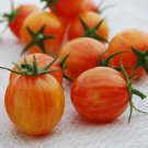 Artisan Sunrise Bumble Bee Cherry Tomato 20 Seeds Grown To Organic Standards