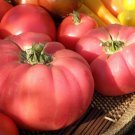 German Pink Tomato Bavarian Seed Naturally And Organically Grown Outstanding Flavor