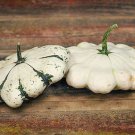 Cream And Green Summer Squash Seeds Aka Pattison Panache Jaune Et Vert Scallop Squash
