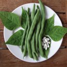 Lazy Housewife Snap Pole Bean 25 Seeds Vegetable Seeds Intro 1880 German 1880s