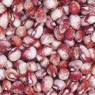 Beans Mayflower Pole Snap Bean Seed Aka Amish Knuttle Rare Unusual And Hard To Find Historical Cutsh