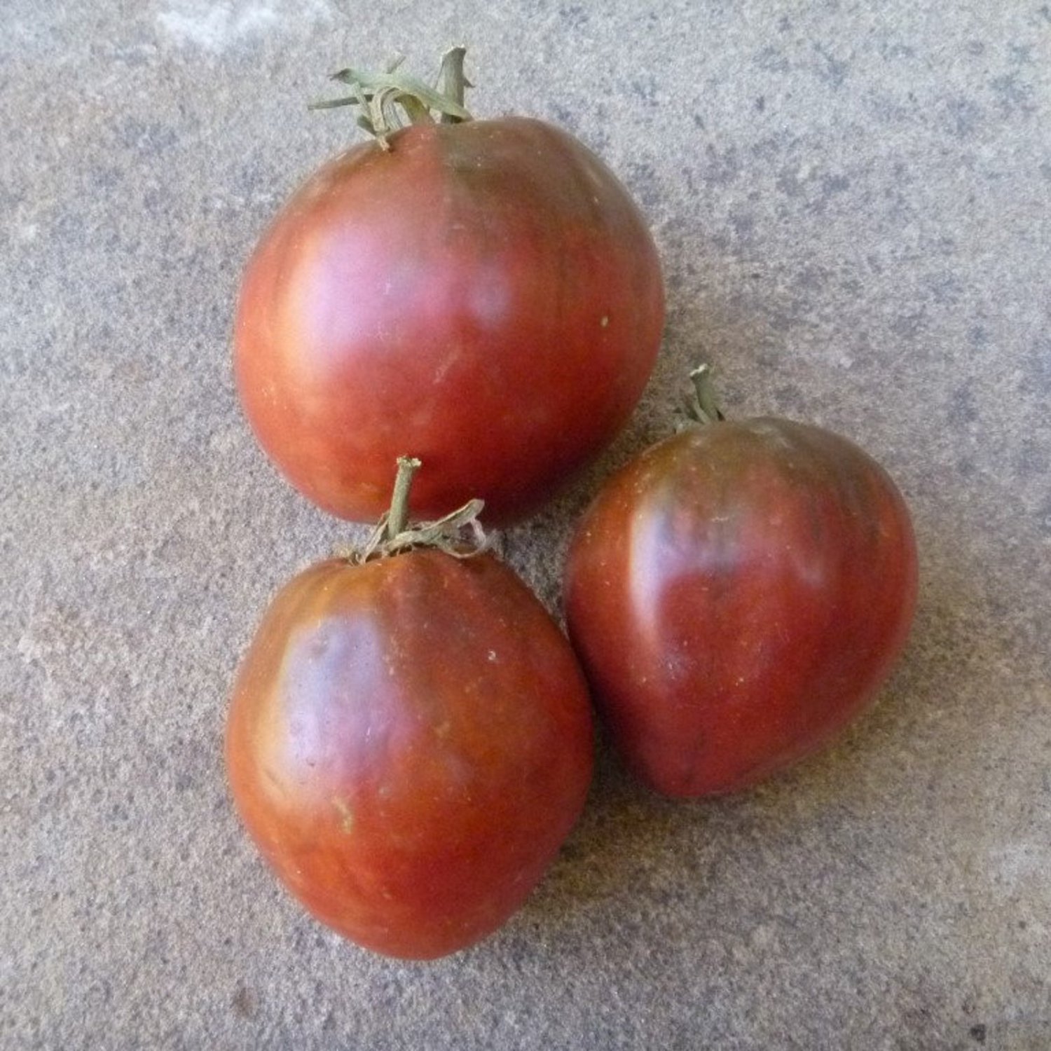Brads Black Heart Oxheart Tomato 20 Seeds Grown To Organic Standards Brad Gates Intro