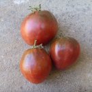 Brads Black Heart Oxheart Tomato 20 Seeds Grown To Organic Standards Brad Gates Intro