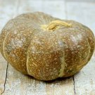 Strawberry Crown Winter Squash Seeds Naturally Grown C. Maxima Brazilian