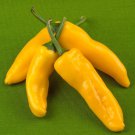 Corno Di Toro Giallo Italian Sweet Pepper Aka Corno Di Toro Yellow Horn Of The Bull Italian Sweet Pe
