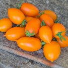 Justyna Tomato Modern 20 Seeds Grown To Organic Standards