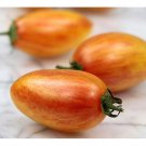Blush Tiger Tomato Modern Seed Organically And Naturally Grown Tropical Flavor Gold Pink Blush