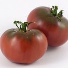 Lila Sari Tomato Seeds Grown To Organic Standards German