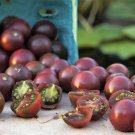 Chocolate Cherry Tomato 20 Seeds Vegetable Seeds Yummy Very Productive