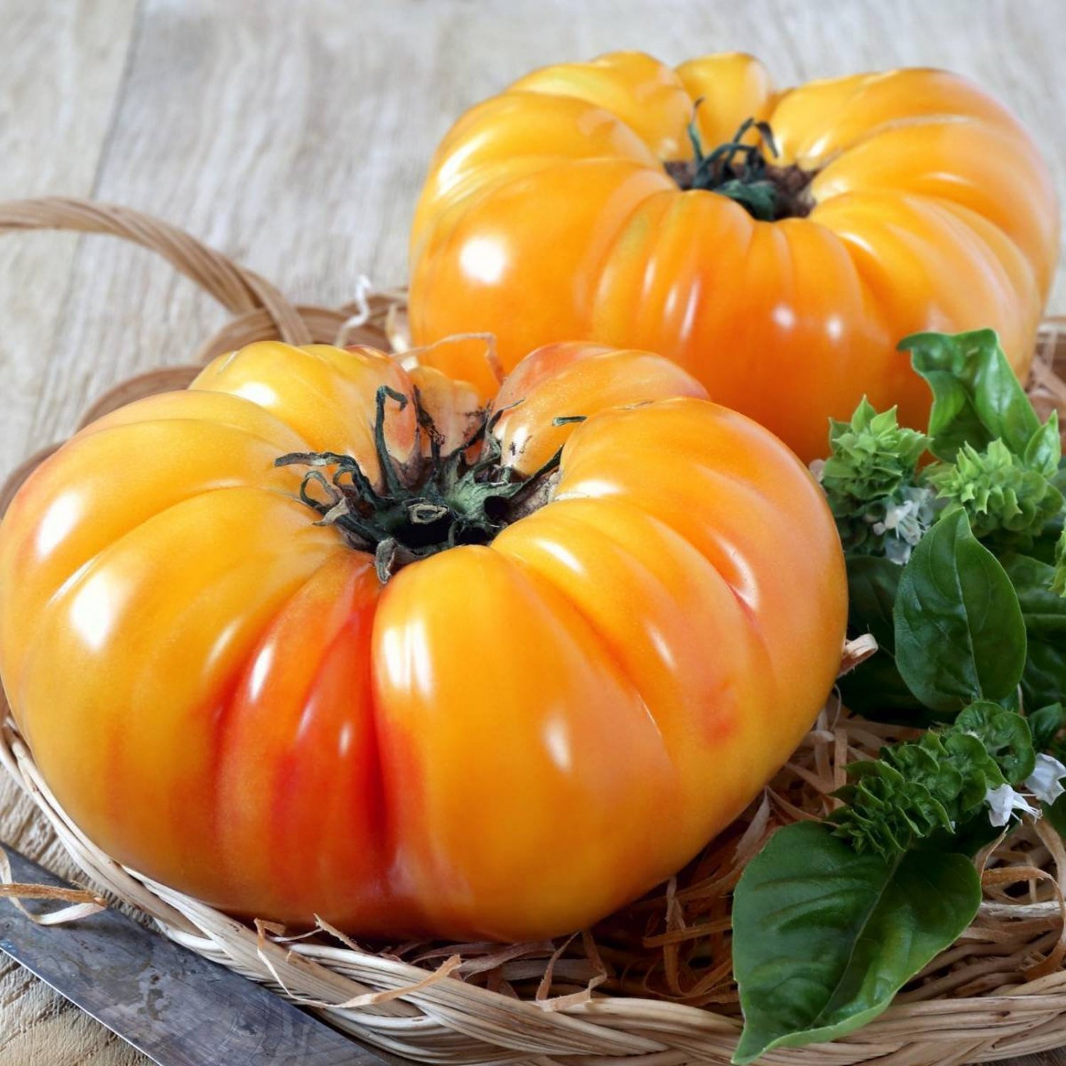 Pineapple Beefsteak Tomato 20 Seeds Grown To Organic Standards Sweet And Fruity