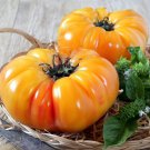 Pineapple Beefsteak Tomato 20 Seeds Grown To Organic Standards Sweet And Fruity