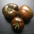 Chocolate Stripes Improved Tomato 20 Seeds Grown To Organic Standards