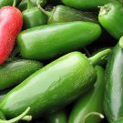 Early Jalapeno Pepper Hot Pepper Seeds