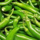 Serrano Pepper Hot Pepper Seeds Amazing Flavor & Versatility 20 Seeds