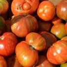 Solar Flare Tomato 20 Seeds Grown To Organic Standards Brad Gates Intro Wild Boar Farms