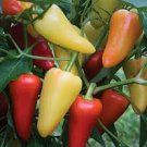 Santa Fe Grande Hot Pepper