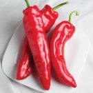 Marconi Red Italian Sweet Pepper Seeds Vegetable Seeds Seed Packets