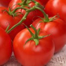 Abe Lincoln Tomato Aka Abraham Lincoln 20 Seeds Grown To Organic Standards