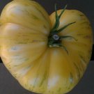 Wild Boar Pineapple Pig Tomato Modern Seeds Brad Gates Wild Boar Farms Intro Vegetable