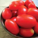 Rio Grande Paste Tomato 20 Seeds Grown To Organic Standards Hot Weather Adapted
