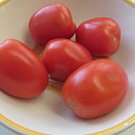 Saucy Lady Paste Tomato Seeds Grown To Organic Standards Excellent For Sauce And Paste