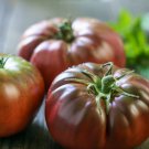 Black Brandywine Beefsteak Tomato Weaver Strain Seeds Grown To Organic Standards