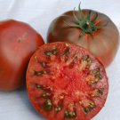 Paul Robeson Tomato Russian Seeds Grown To Organic Standards Amazing Flavor