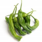 Shishito Hot Pepper Seed Seeds Japanese Pepper Frying Pepper