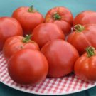Early Red Chief Tomato Seeds Grown To Organic Standards Semi Det. Heavy Bearing