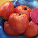 Red Strawberry Tomato Seeds Grown To Organic Standards Aka German Red Strawberry