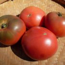 Sara Black Tomato Aka Schwarze Sarah Rare German Seeds Organically And Naturally Grown