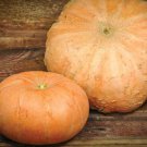 Jaunne Gros De Paris Pumpkin Aka Yellow Of Paris Seeds Naturally Grown C .Pepo