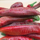 Rezha Macedonian Hot Pepper Seeds Vegetable Seeds Seed Packets Vezeni Piperki