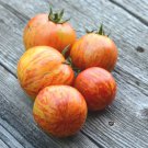 Red Zebra Tomato Seeds Grown To Organic Standards Red With Orange Stripes